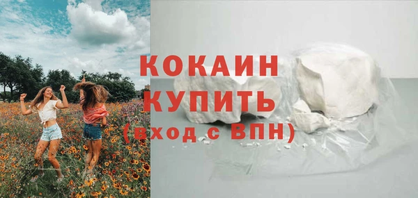 дмт Кинешма