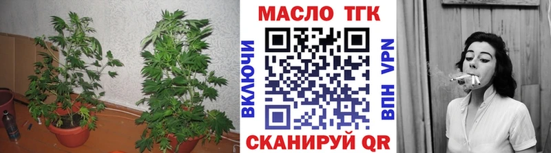 Дистиллят ТГК THC oil  Астрахань 